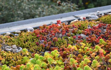 the cost of Barkham green roof installation