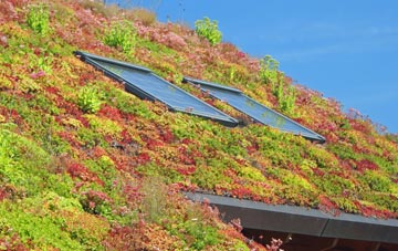 Barkham living roof systems